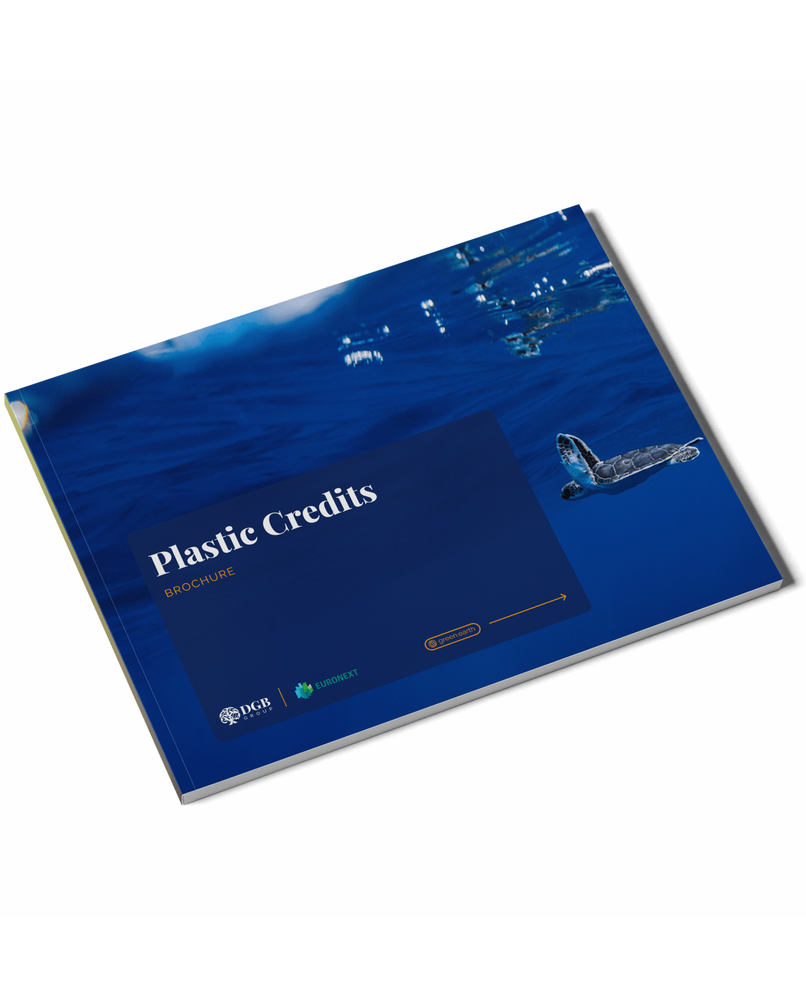 DGB Group Plastic Credits Brochure